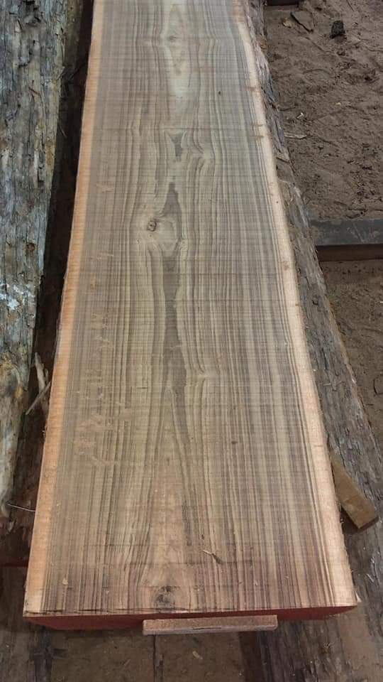 Buy Best Sheesham Wood Furniture in Patna